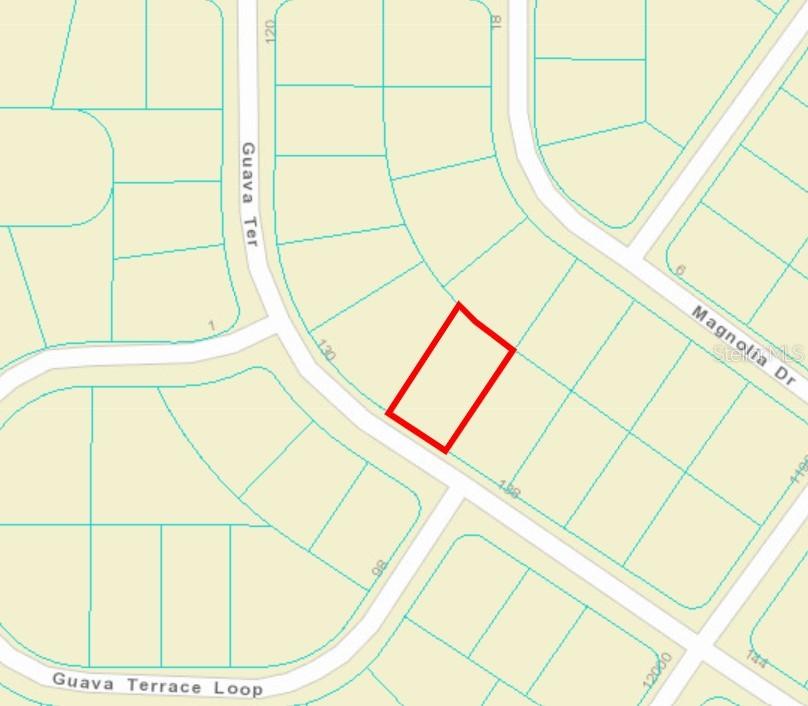 Guava Ter., Ocklawaha, FL 32179