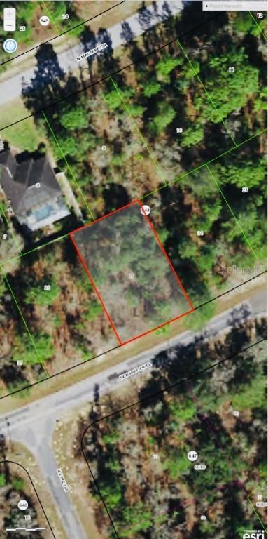 3219 W Babcock Pl., Citrus Springs, FL 34433