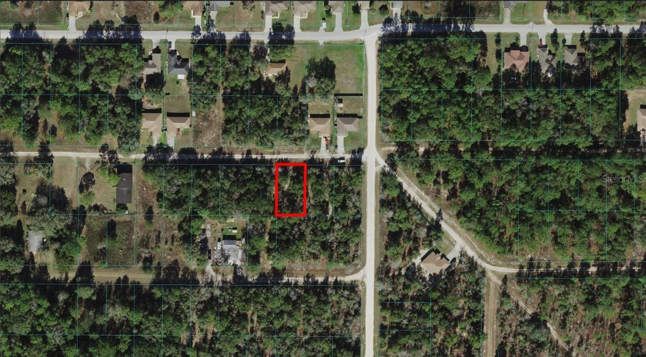 14684 SW 21st Pl., Ocala, FL 34481