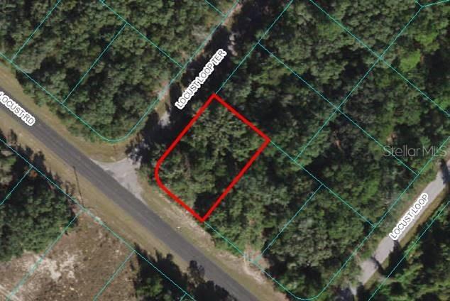 Lot 3 Locust Loop Ter., Ocala, FL 34472
