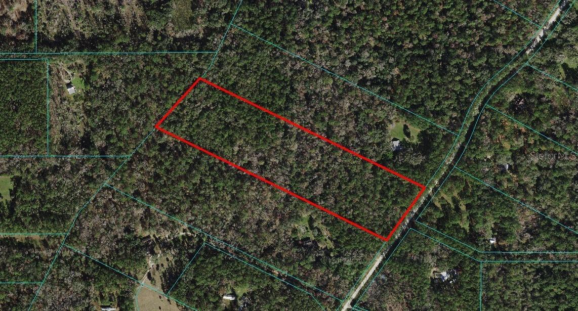 TBD NW 75th Ave Rd., Micanopy, FL 32667