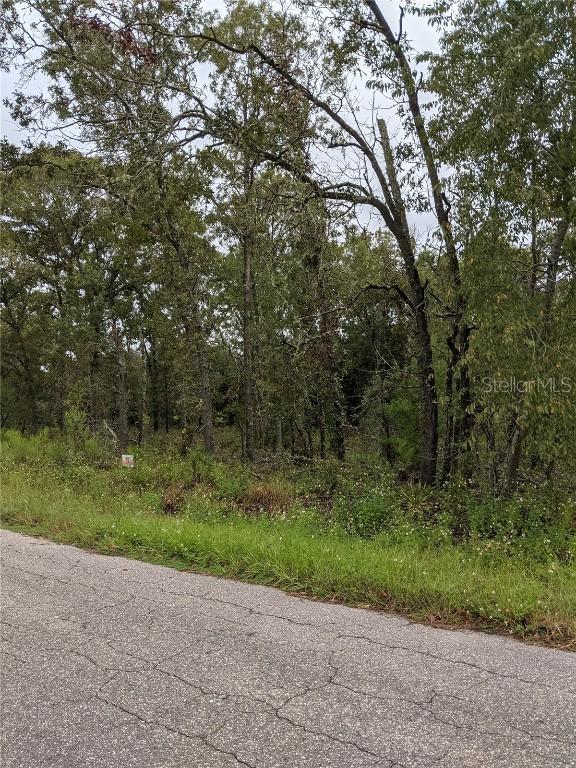 TBD Se 115th Place Rd, Ocklawaha, FL 32179