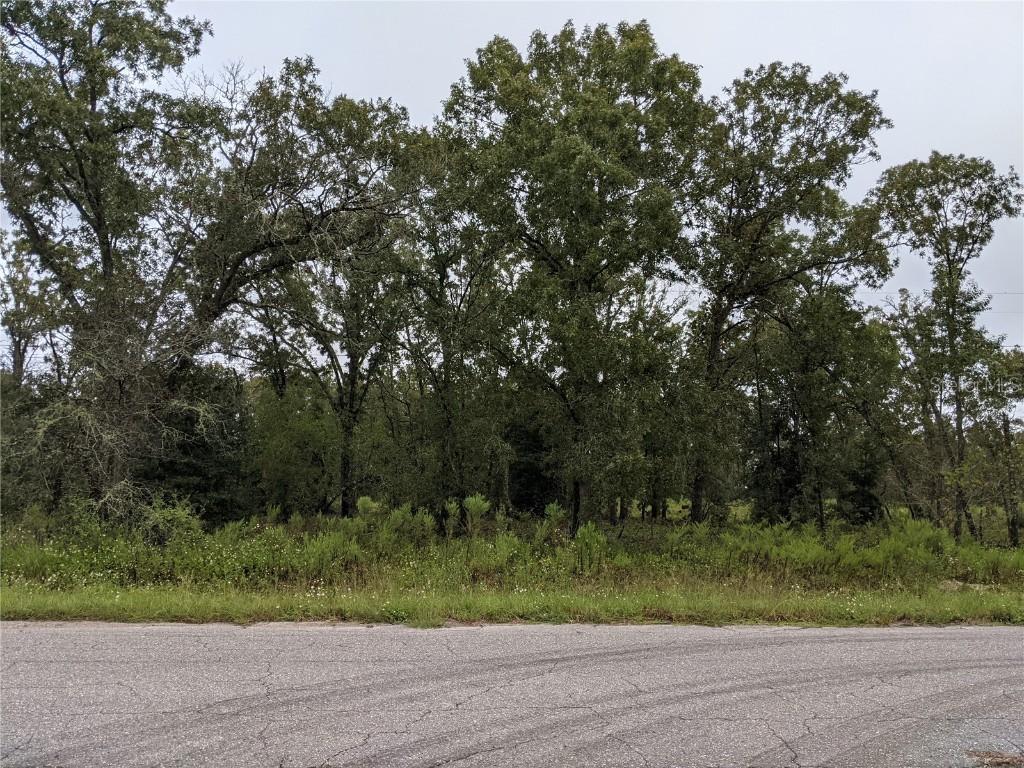 TBD Se 115th Place Rd, Ocklawaha, FL 32179