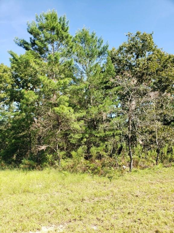 TBD SW 28th Terrace Rd., Ocala, FL 34473
