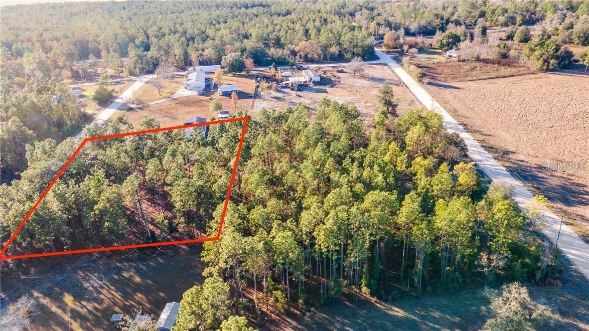TBD NE 9th St., Williston, FL 32696