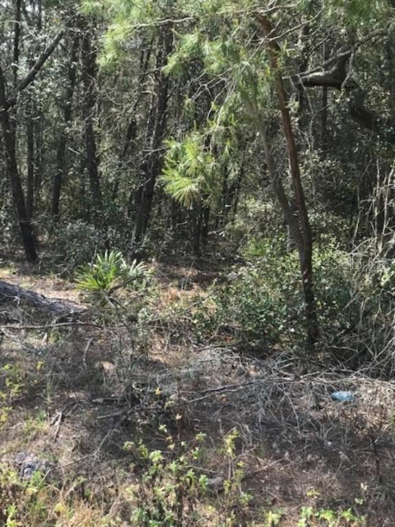 20th Place, Ocala, FL 34481