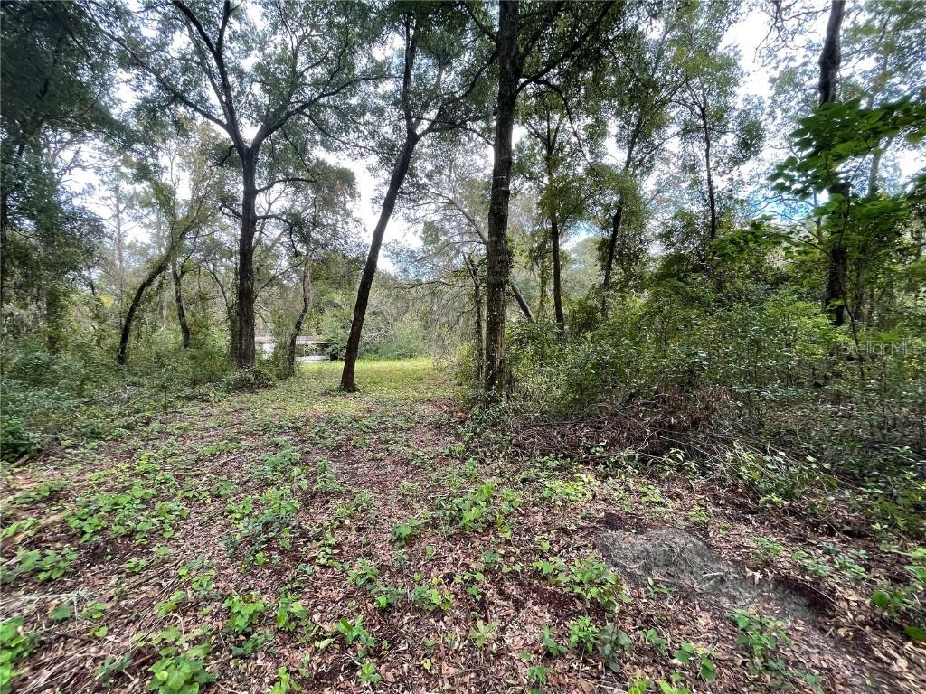 11100 SE 128 Pl Rd., Ocklawaha, FL 32179