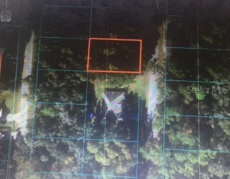 Sequoia Dr., Ocklawaha, FL 32179