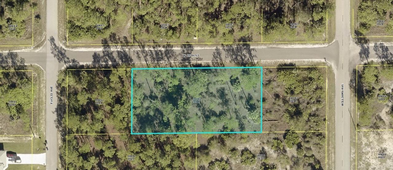 1105 W 13th St., Lehigh Acres, FL 33972