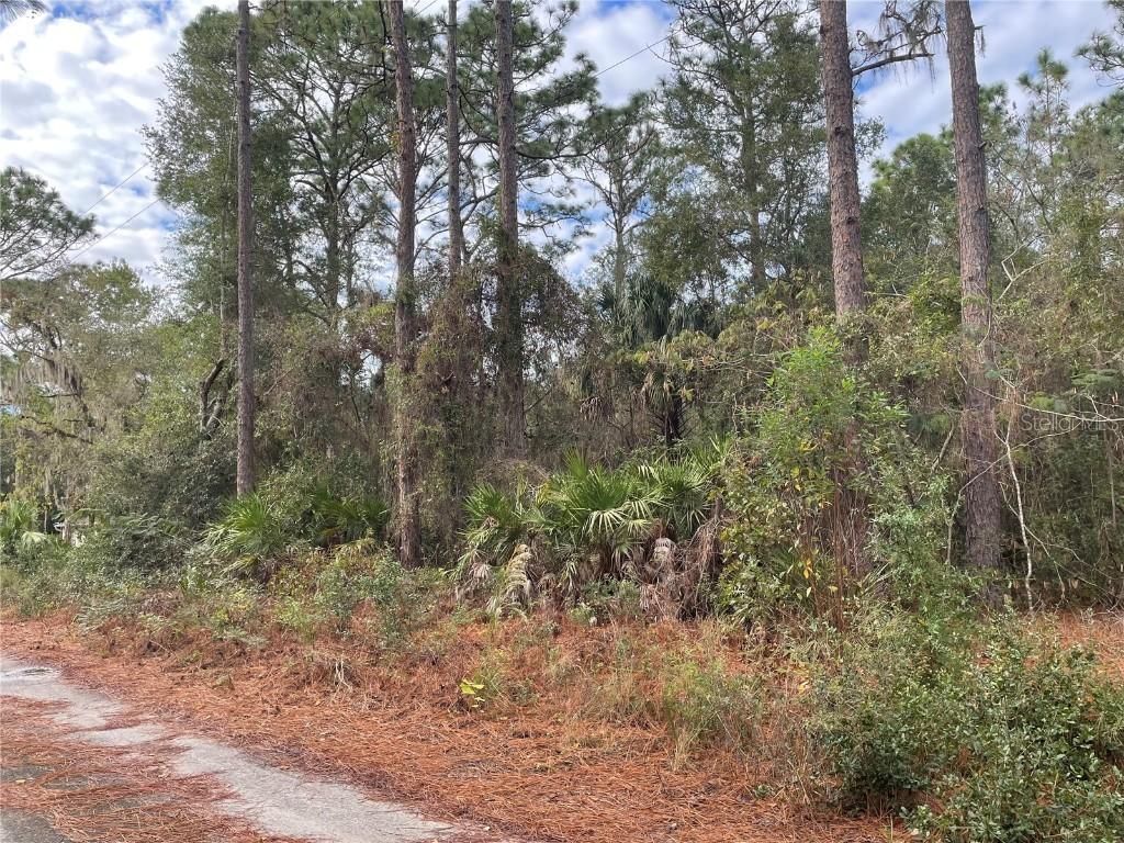9877 W Wedgewood Ct., Crystal River, FL 34428