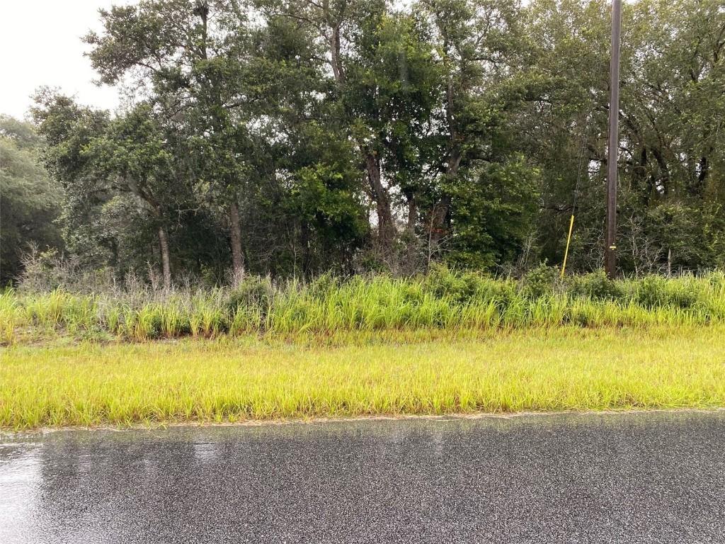 Locust Pass Tr., Ocala, FL 34472