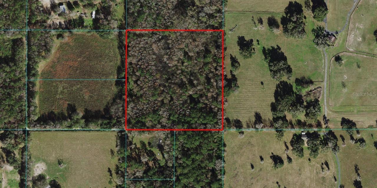 TBD NW 197th Pl., Micanopy, FL 32667