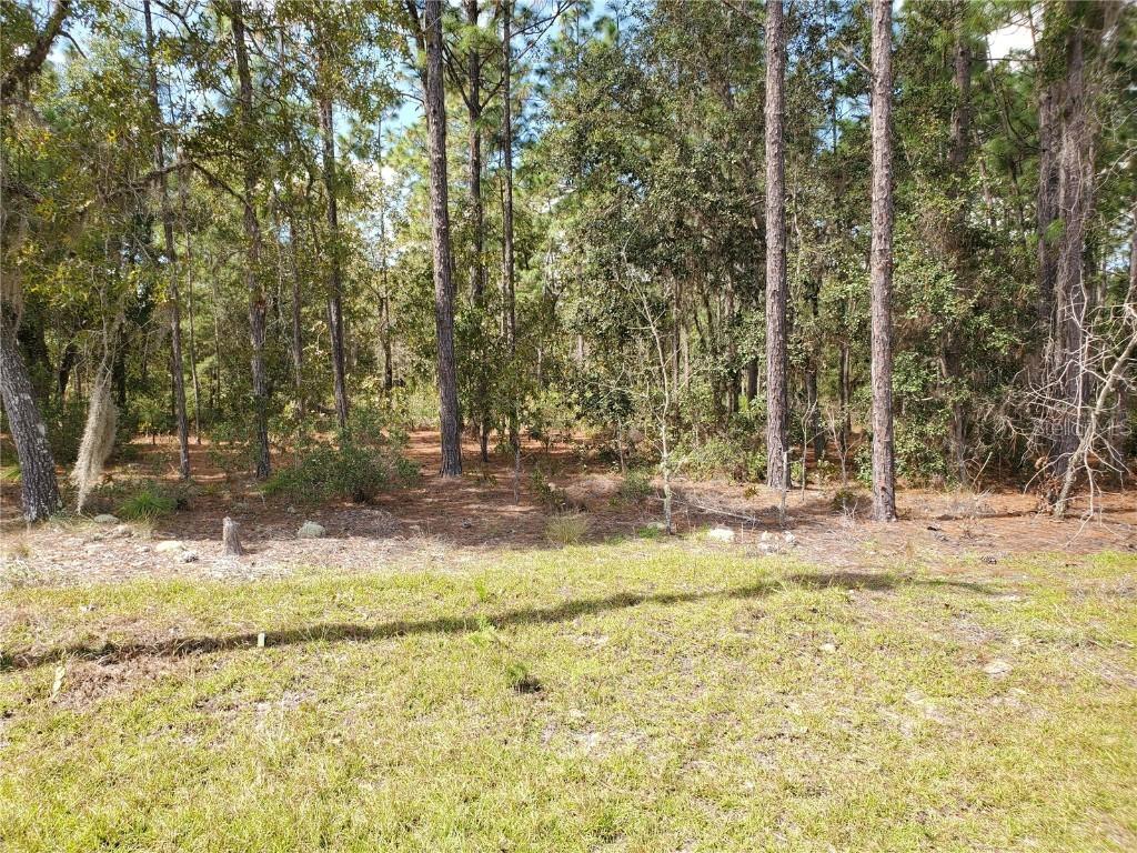 Locust Lane Dr., Ocala, FL 34472
