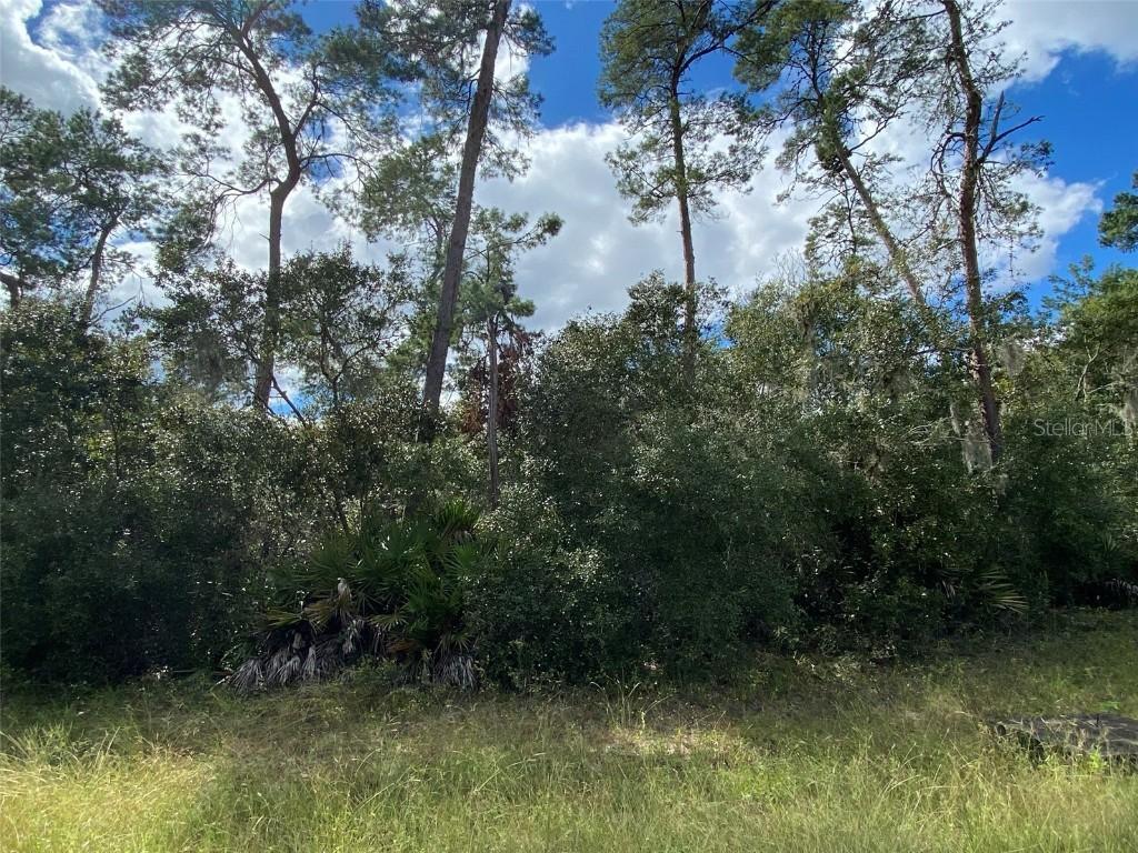 SW 31 Terr Rd, Ocala, FL 34473