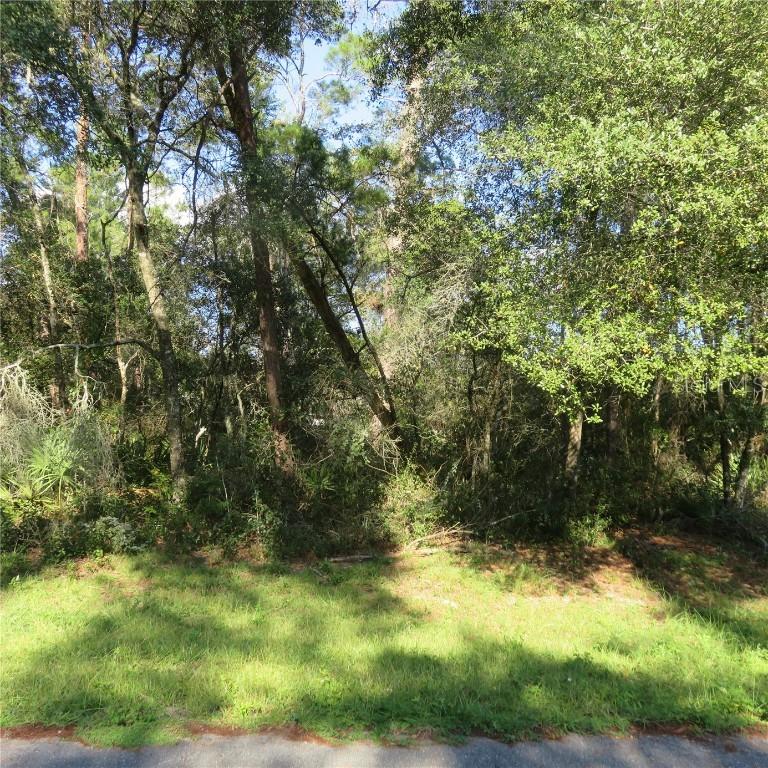 00 SW 24th Ct. Rd., Ocala, FL 34473