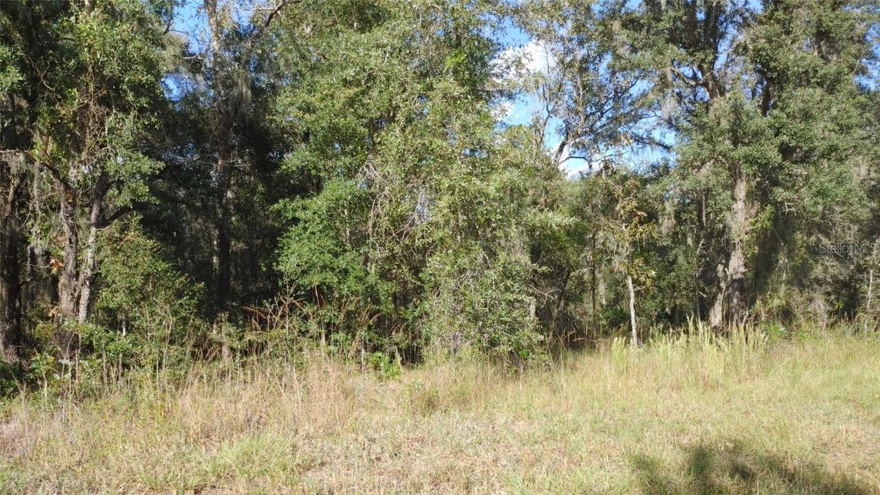 TBD SE 25th St Lot 8, Morriston, FL 32668