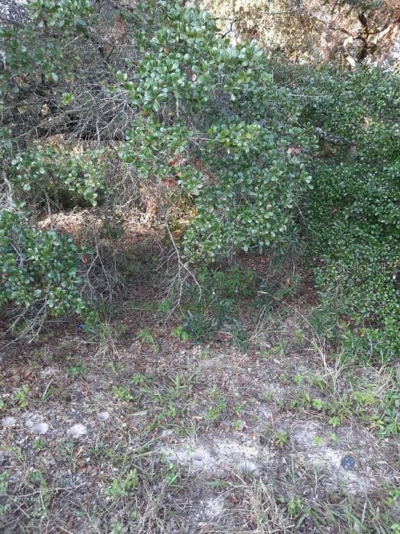 Marion Oaks Manor, Ocala, FL 34473