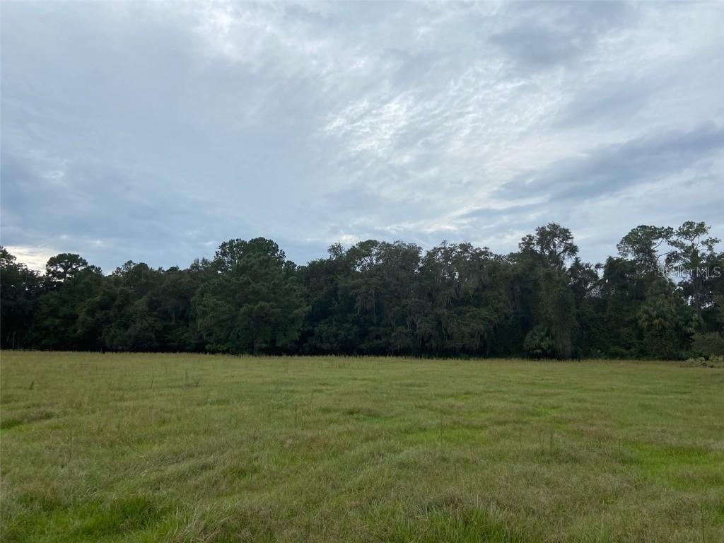 TBD S County Road 325, Cross Creek, FL 32640