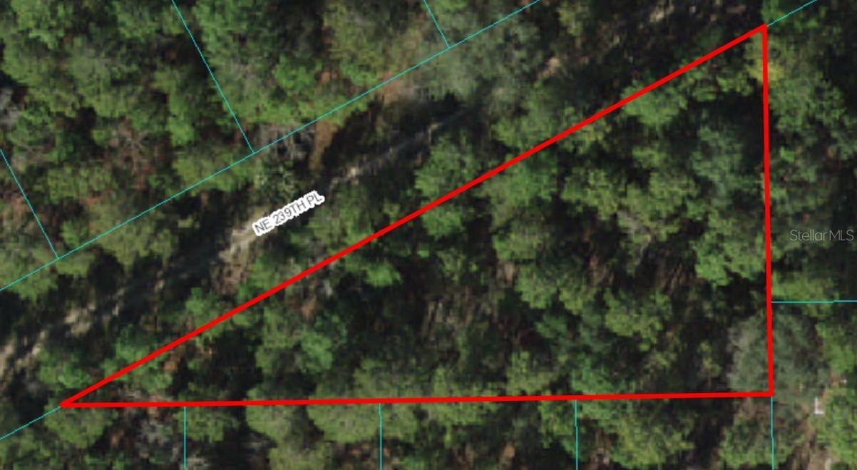 Lot 1 NE 239th Pl., Fort Mc Coy, FL 32134
