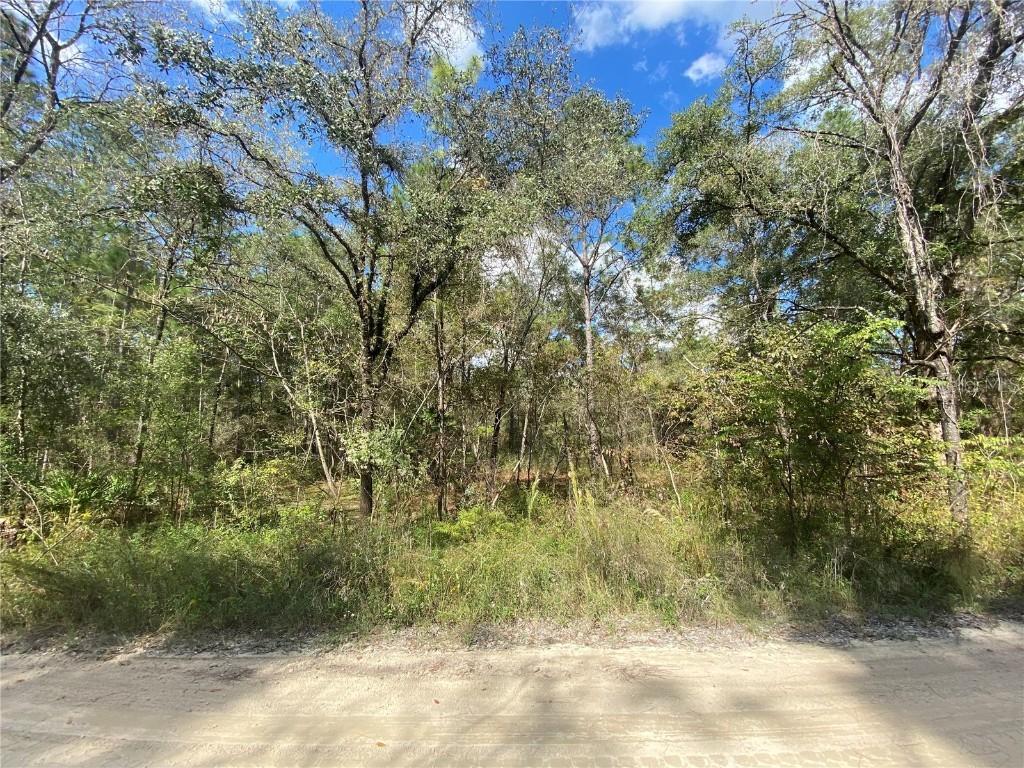 00 SW 27th Ln., Ocala, FL 34481