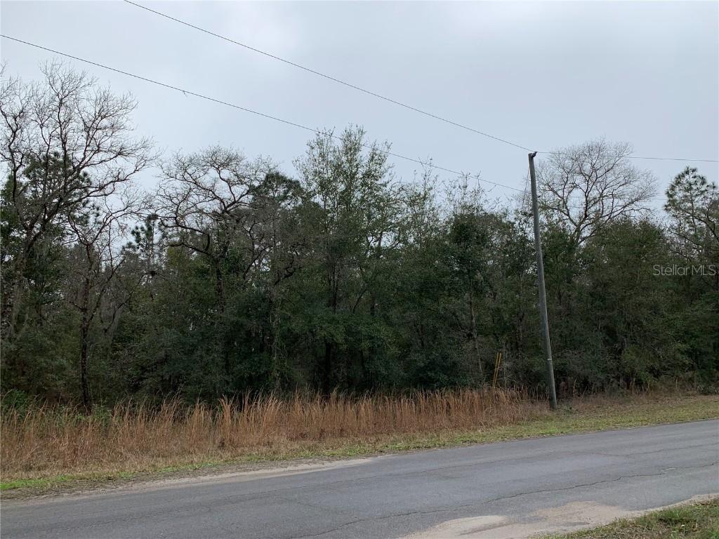 TBD NE 154 Ave., Williston, FL 32696