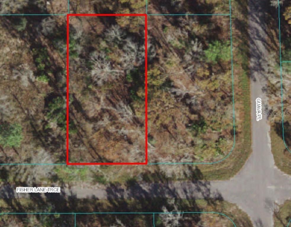 Lot 10 Fisher Lane Trace, Ocklawaha, FL 32179