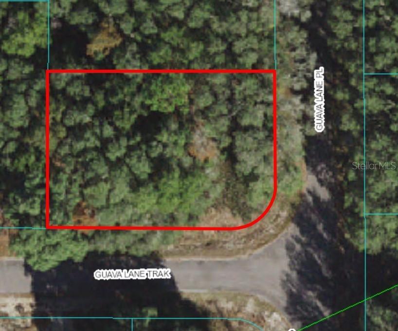 Lot 11 Guava Lane Track, Ocklawaha, FL 32179