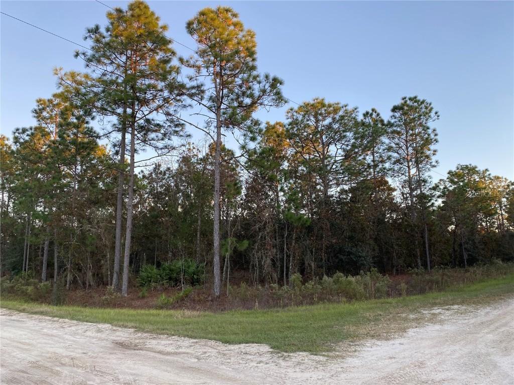 Sw 121st Ter, Ocala, FL 34476