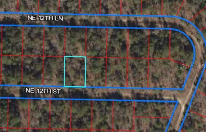 NE 12th St., Williston, FL 32696