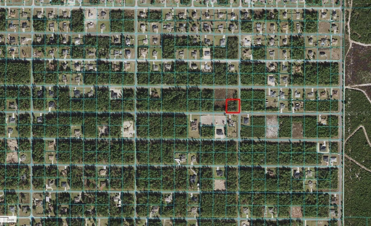 TBD SW 112th Ln., Ocala, FL 34476