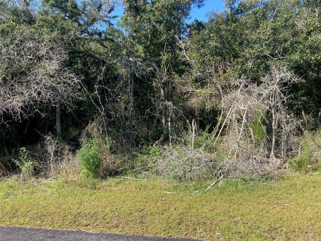 Olive Cir., Ocala, FL 34472