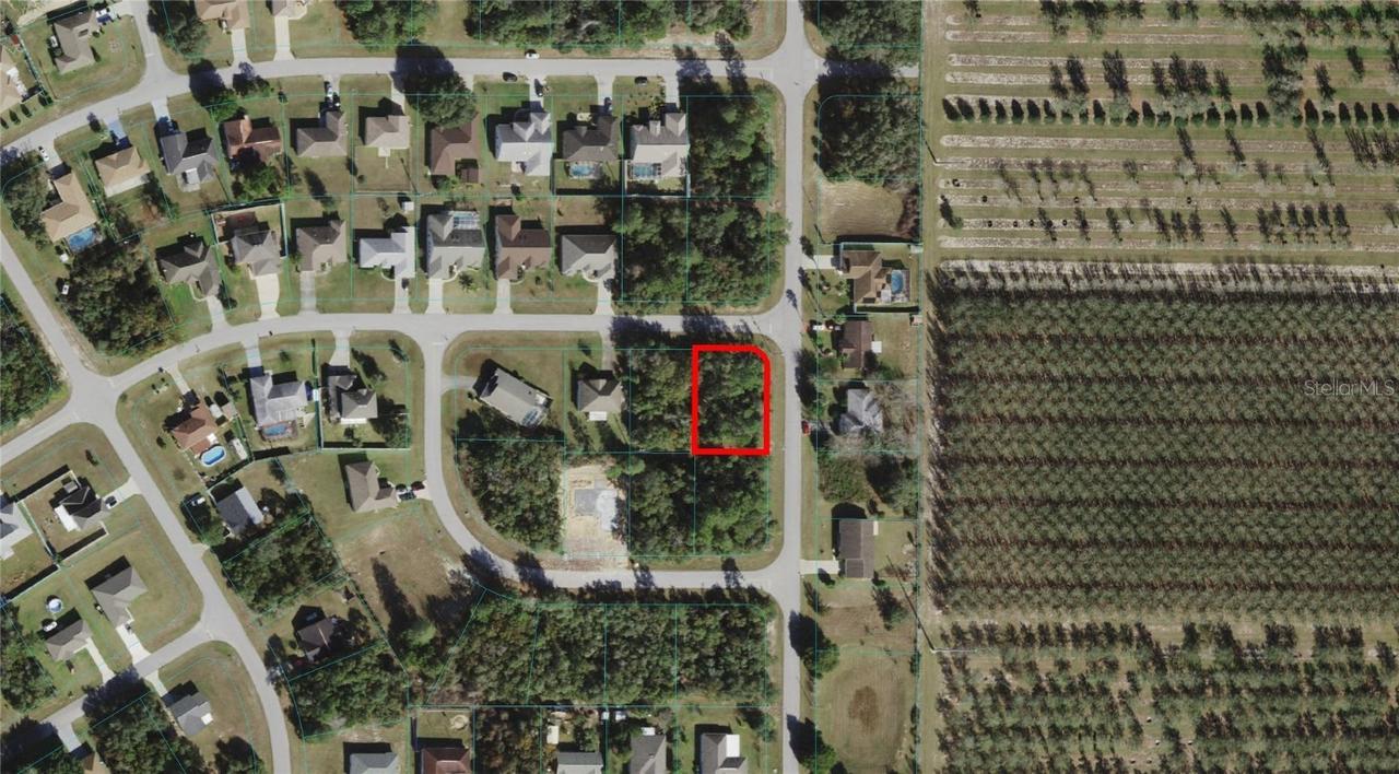 TBD SW 142nd Ln, Ocala, FL 34473