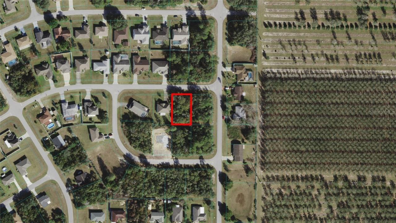 TBD SW 142nd Ln, Ocala, FL 34473