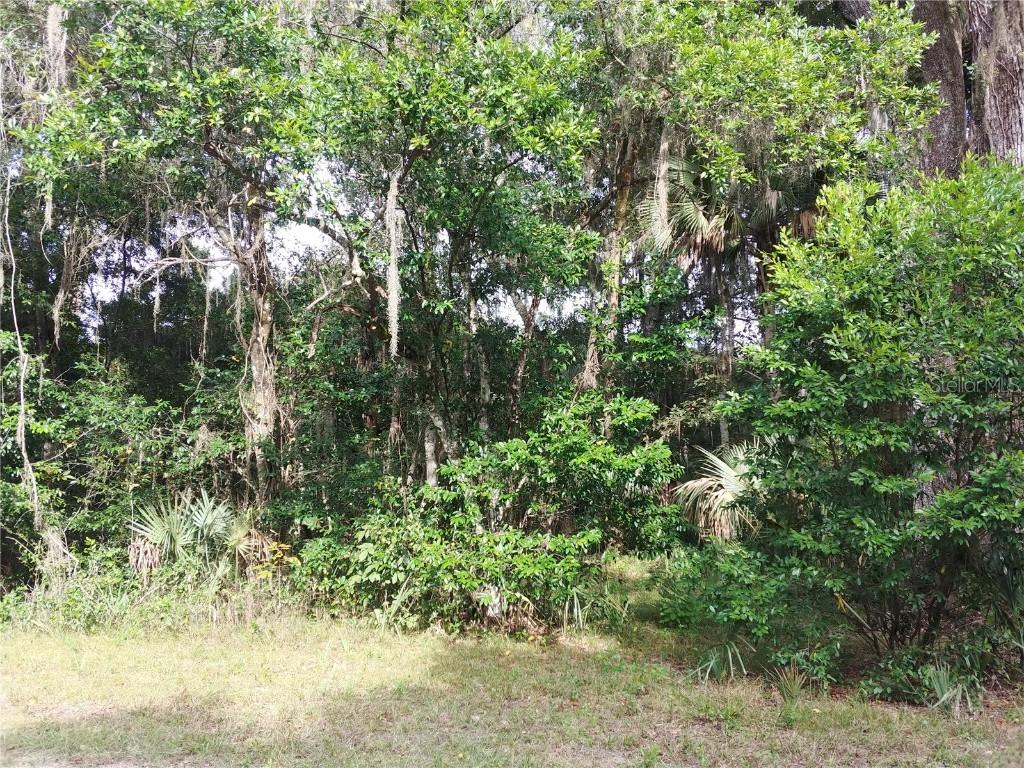 NE 39th Ct., Citra, FL 32113
