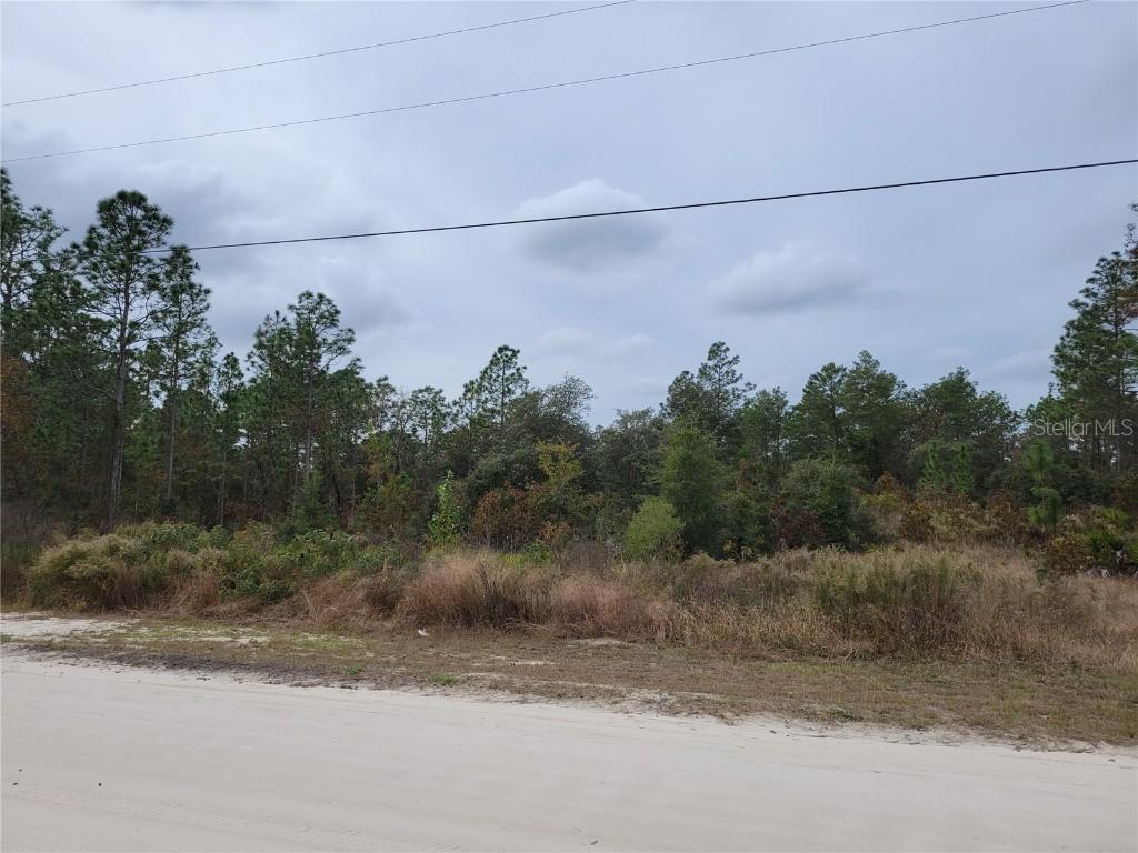 167th Ave., Ocala, FL 34481