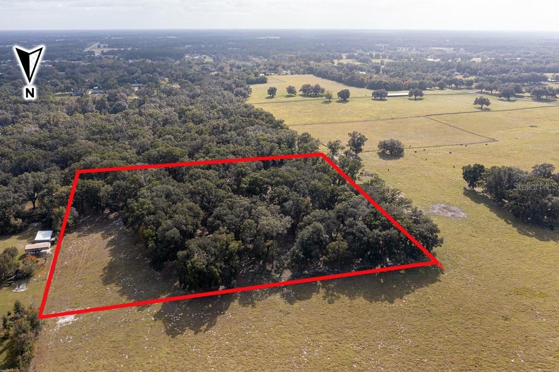 7th St., Williston, FL 32696