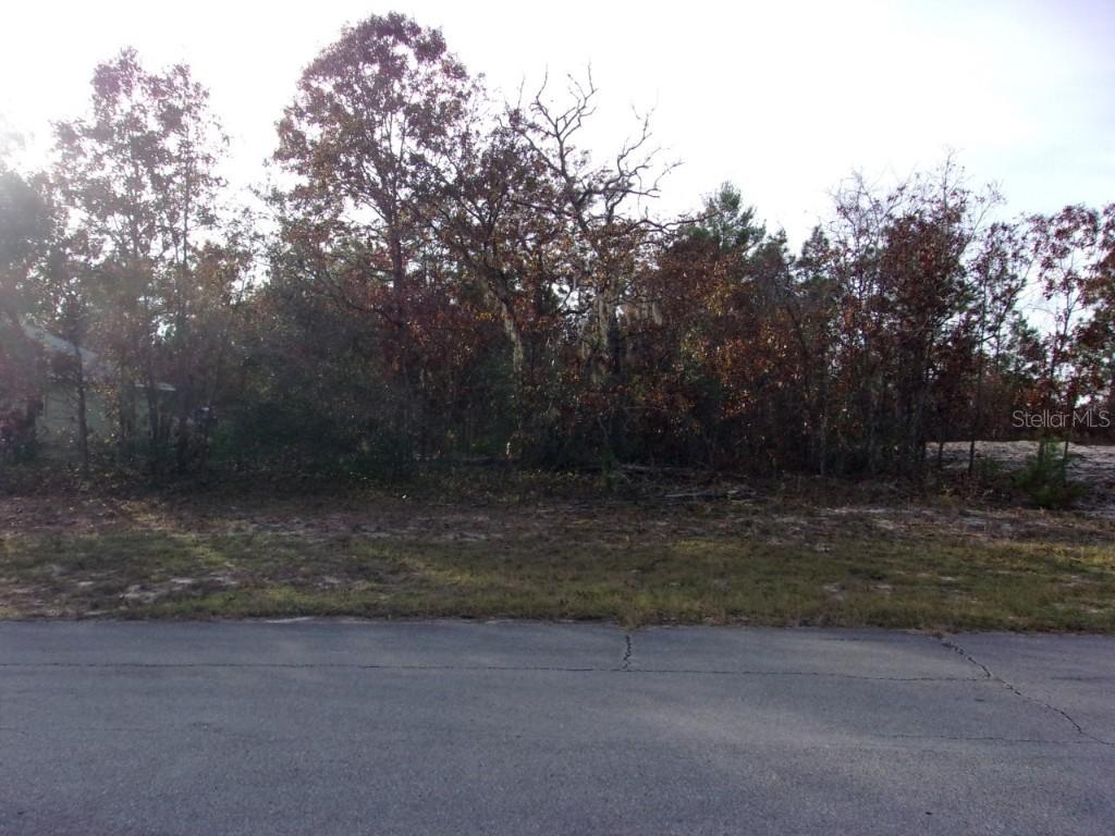SW 139th Lane Rd., Ocala, FL 34473