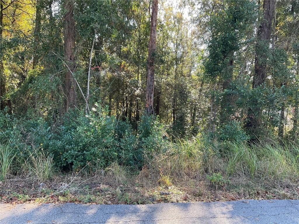 TBD Cherry Course, Ocala, FL 34472