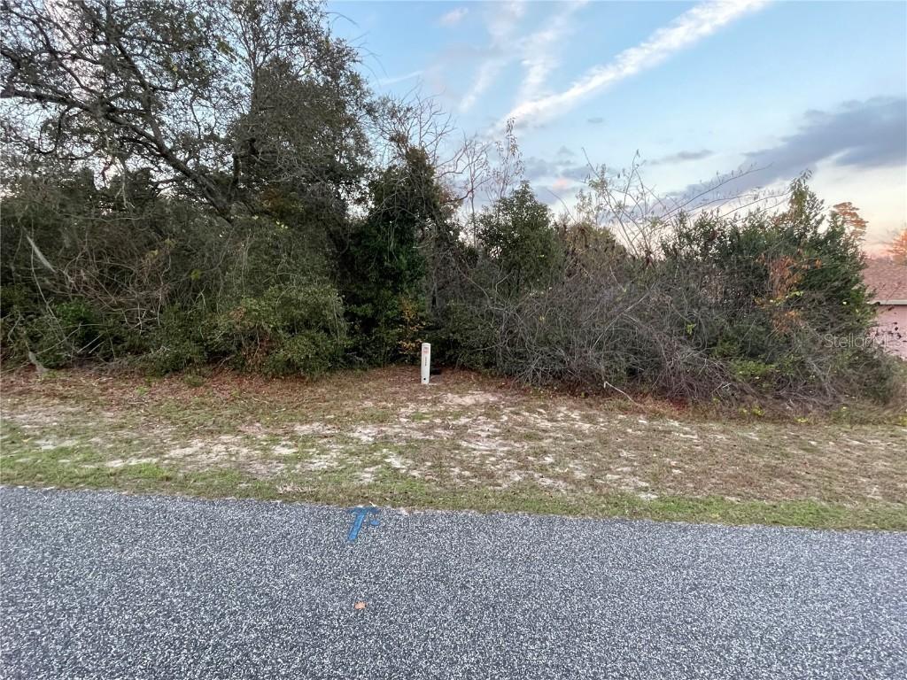 1 SW 155 St., Ocala, FL 34473