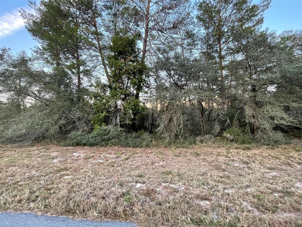 SW 22nd Terrace Rd., Ocala, FL 34473