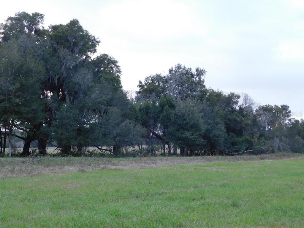 00 NW 131 St., Reddick, FL 32686