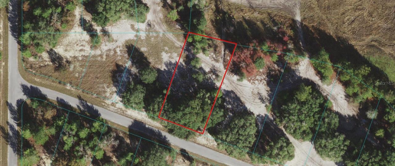 Lot 15 Malauka Loop Run Rd., Ocklawaha, FL 32179