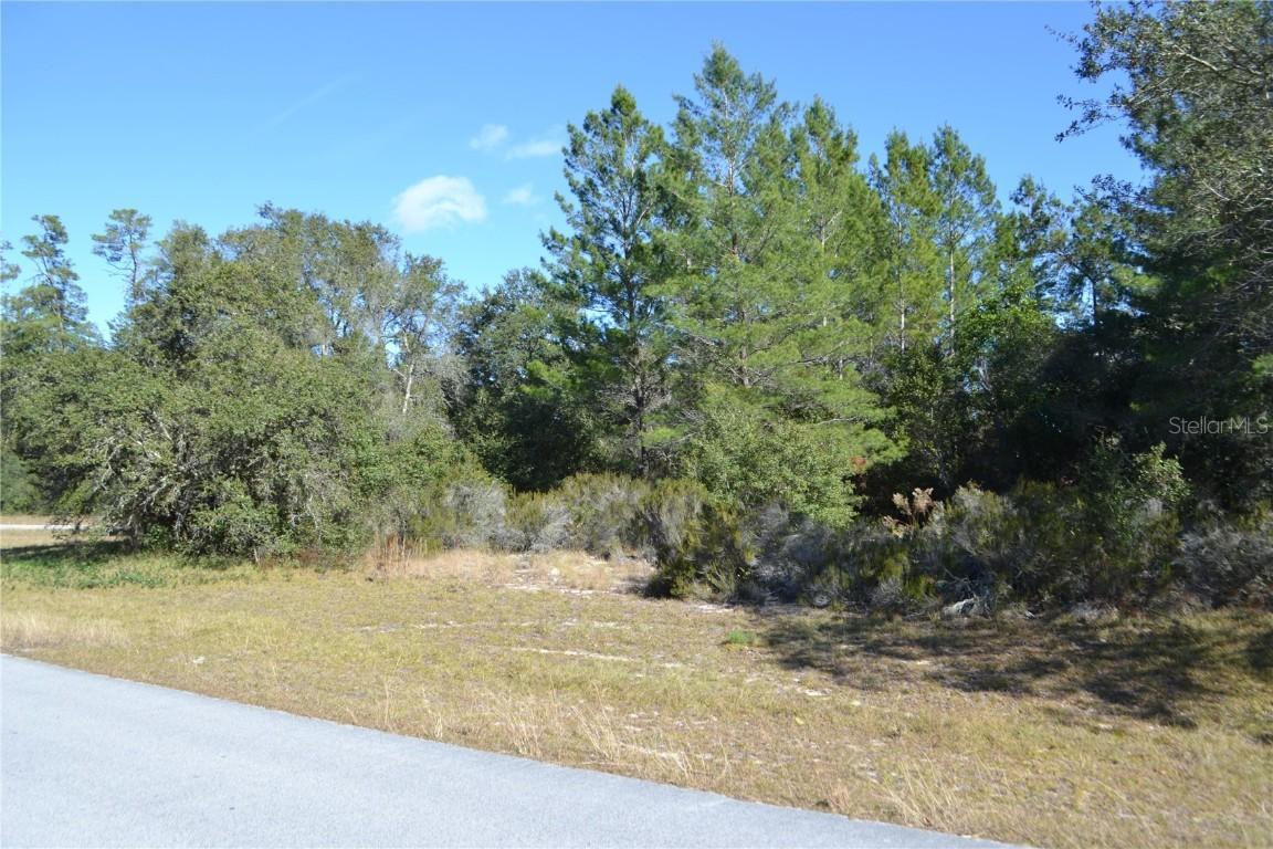 SW 176 Lane Rd., Ocala, FL 34473
