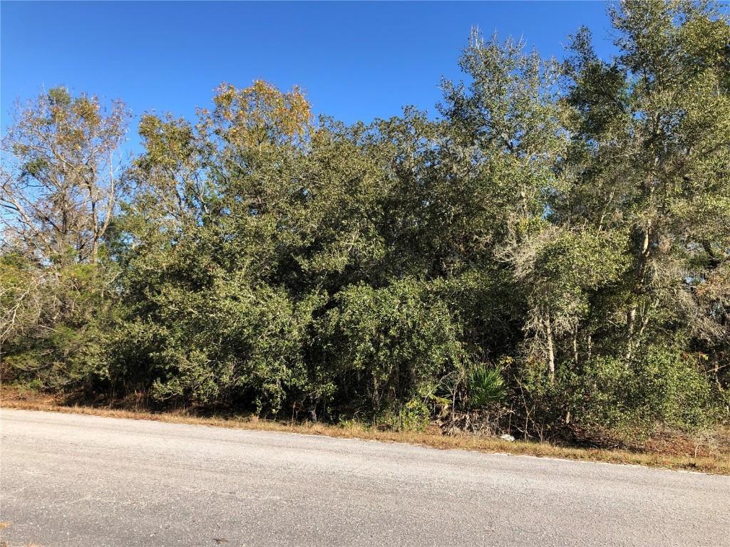 Malauka Drive, Ocklawaha, FL 32179