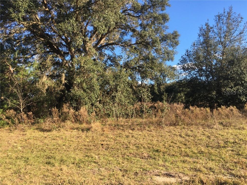 0 Sw 56th Terrace Rd., Ocala, FL 34473
