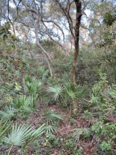 Tbd Corner Of Fisher Rd & Malauka Rd, Ocala, FL 34472