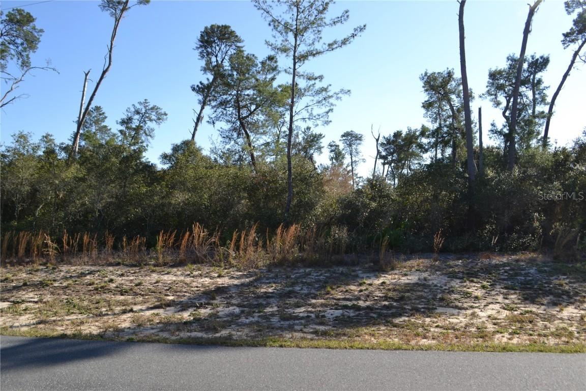 SW 178th Lane Rd., Ocala, FL 34473