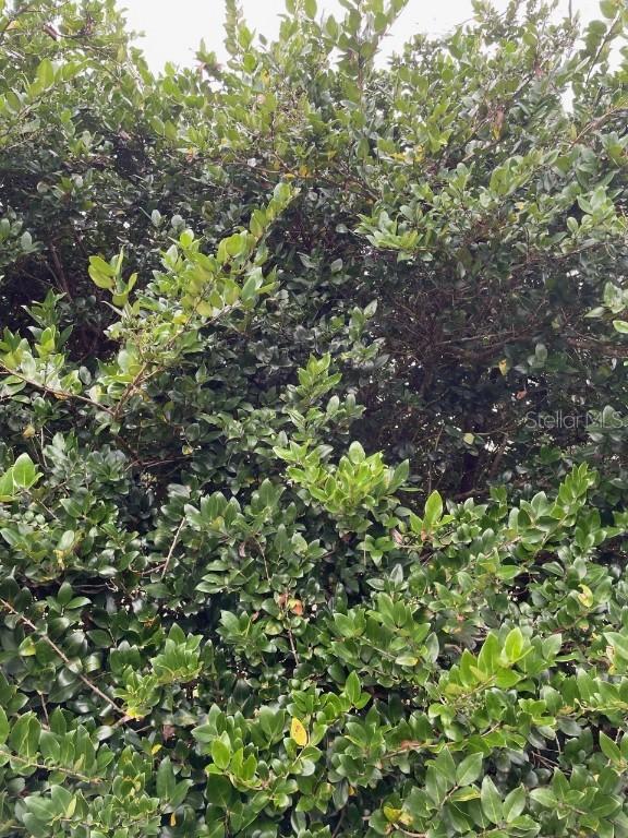 TBD SW Marion Oaks Course, Ocala, FL 34473