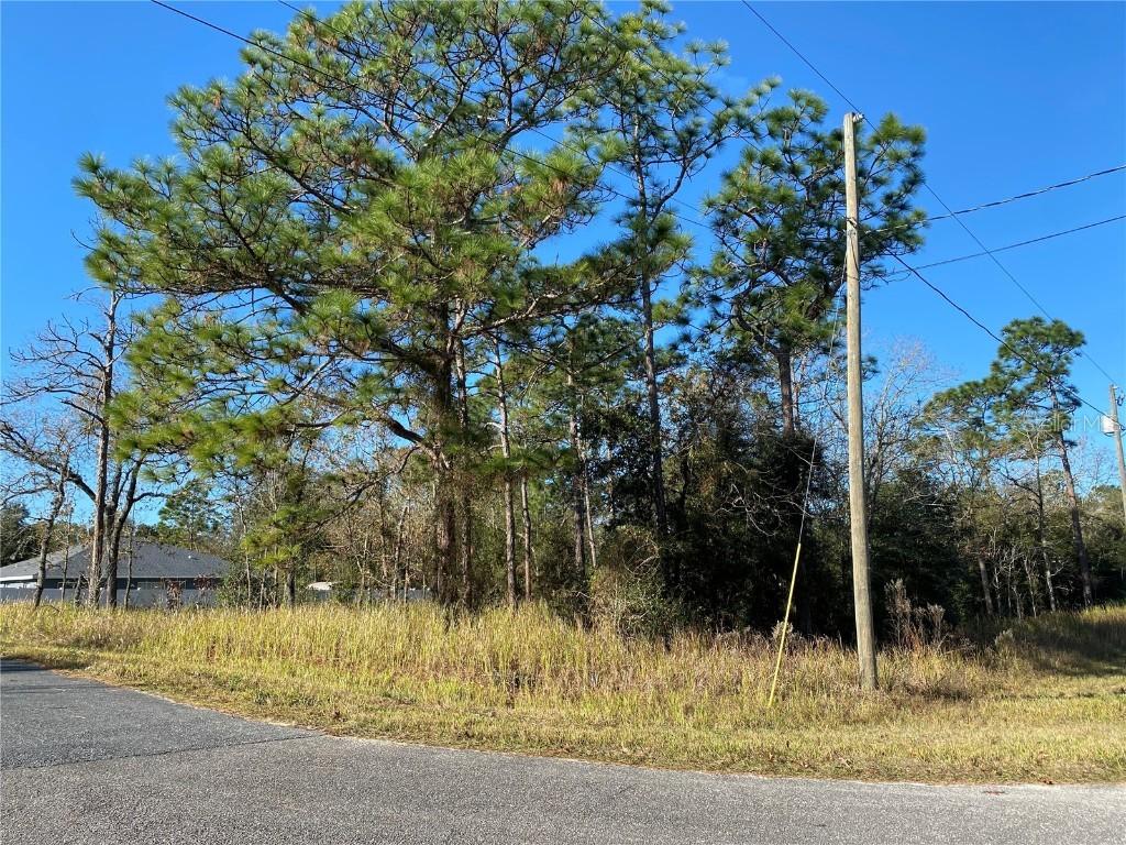 Bahia Rd., Ocala, FL 34472