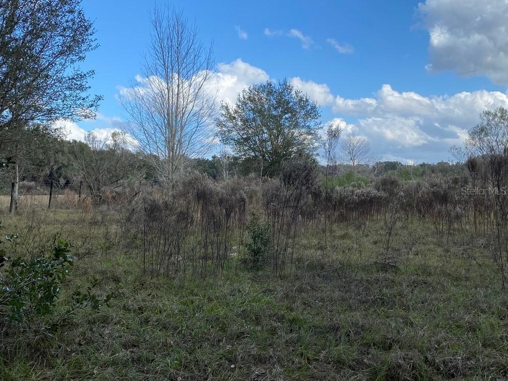 000 NE 178th Ter., Williston, FL 32696